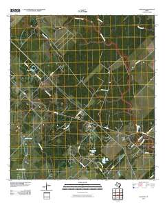 2010 Map of Danciger, 2010 Print
