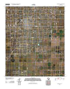 2010 Map of Denver City, 2010 Print