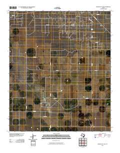 2010 Map of Denver City SW, 2010 Print