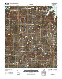 2010 Map of Dexter, 2010 Print
