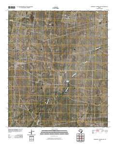 2010 Map of Diamond Y Spring NW, 2010 Print