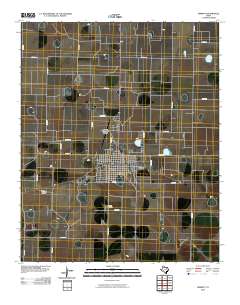 2010 Map of Dimmitt, 2010 Print