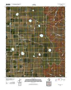 2010 Map of Dougherty, 2010 Print