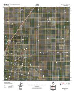 2010 Map of Driscoll East, 2010 Print