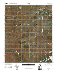 2010 Map of Dundee, 2010 Print