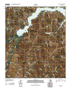 2010 Map of Elderville, 2010 Print