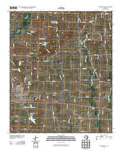 2010 Map of Farmersville, 2010 Print