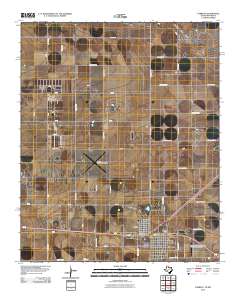 2010 Map of Farwell, 2010 Print