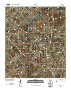2010 Map of Fruitvale, 2010 Print
