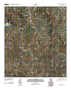 2010 Map of Gonzales South, 2010 Print