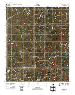 2010 Map of Grand Lake, 2010 Print