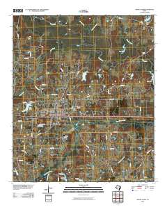 2010 Map of Grand Saline, 2010 Print