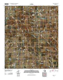 2010 Map of Griffin, 2010 Print