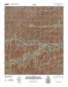 2010 Map of Hackberry Draw SW, 2010 Print