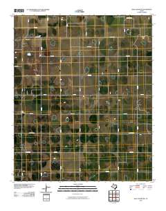 2010 Map of Hale Center SW, 2010 Print