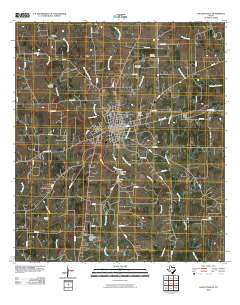 2010 Map of Hallettsville, 2010 Print