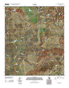 2010 Map of Halls Bluff, 2010 Print