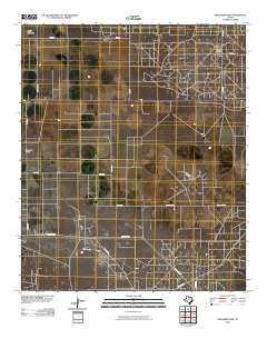 2010 Map of Higginbotham, 2010 Print