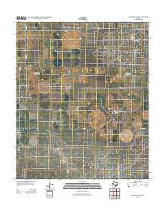 2012 Map of Higginbotham, 2012 Print