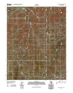 2010 Map of Higgins North, 2010 Print