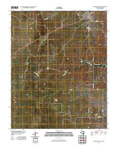 2010 Map of Higgins South, 2010 Print