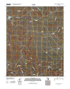 2010 Map of Humdinger Spring, 2010 Print
