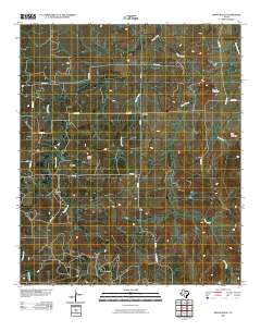 2010 Map of Indian Knoll, 2010 Print
