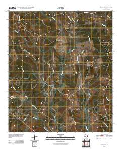 2010 Map of Jamestown, 2010 Print