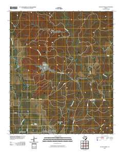 2010 Map of Jayton North, 2010 Print
