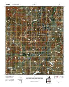 2010 Map of Johnson Lake, 2010 Print