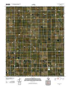 2010 Map of Julia Lake, 2010 Print