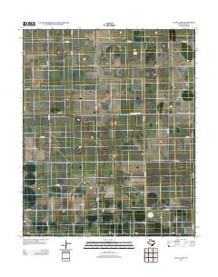 2012 Map of Julia Lake, 2012 Print