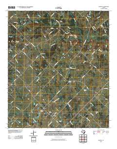 2010 Map of Kurten, 2010 Print