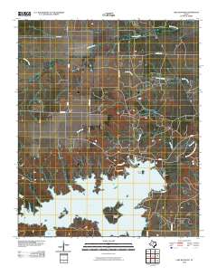 2010 Map of Lake Kickapoo, 2010 Print