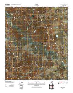 2010 Map of Lake Leon, 2010 Print