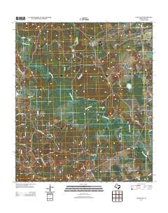 2013 Map of Lake Leon, 2013 Print