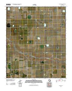 2010 Map of Lakeview, 2010 Print