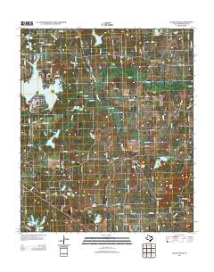 2013 Map of Leagueville, 2013 Print