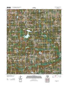 2012 Map of Leesburg, 2012 Print