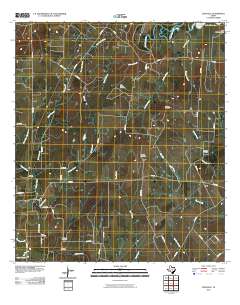 2010 Map of Leesville, 2010 Print