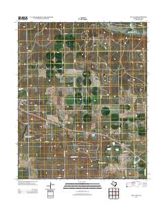2012 Map of Lelia Lake, 2012 Print