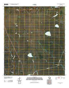 2010 Map of Live Oak Lake, 2010 Print
