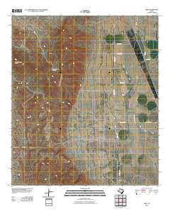 2010 Map of Lobo, 2010 Print