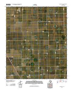 2010 Map of Lockney SE, 2010 Print