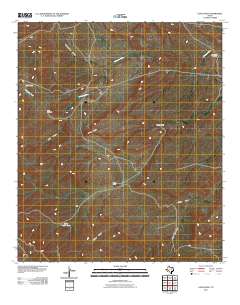 2011 Map of Long Point, 2011 Print