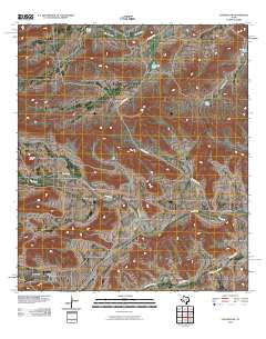 2010 Map of Longfellow, 2010 Print