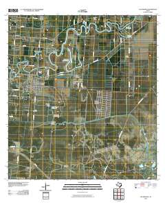 2010 Map of Los Fresnos, 2010 Print