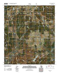 2010 Map of Manning, 2010 Print