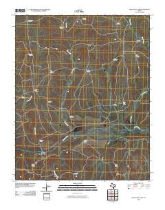 2010 Map of Many Post Camp, 2010 Print