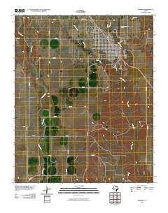 2010 Map of Memphis, 2010 Print